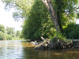 Wallkill New Paltz to Perrones Bridge 7-12-14